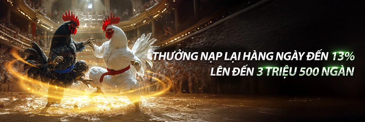 Đá Gà Trực Tuyến Hấp Dẫn tại 88go Nổ Hũ
